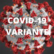 Persona con variante 'Delta' en Depto. de Salud de Dtto. Central Norte