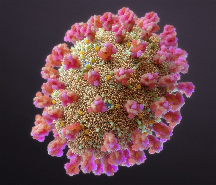 Variante Delta confirmada en el distrito PHS