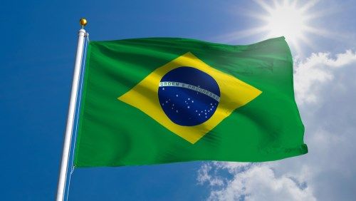 Pdte. Bolsonaro de Brasil podría recibir cargos por homicidio masivo