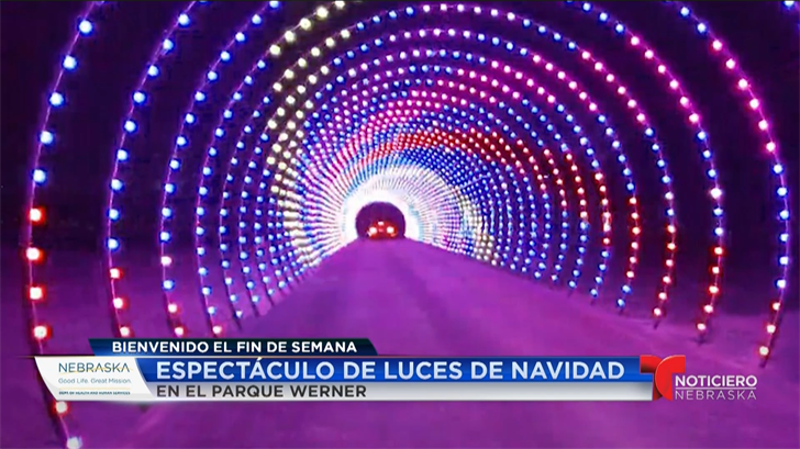 Bienvenido el fin de Semana: ¡flores, música y luces navideñas!