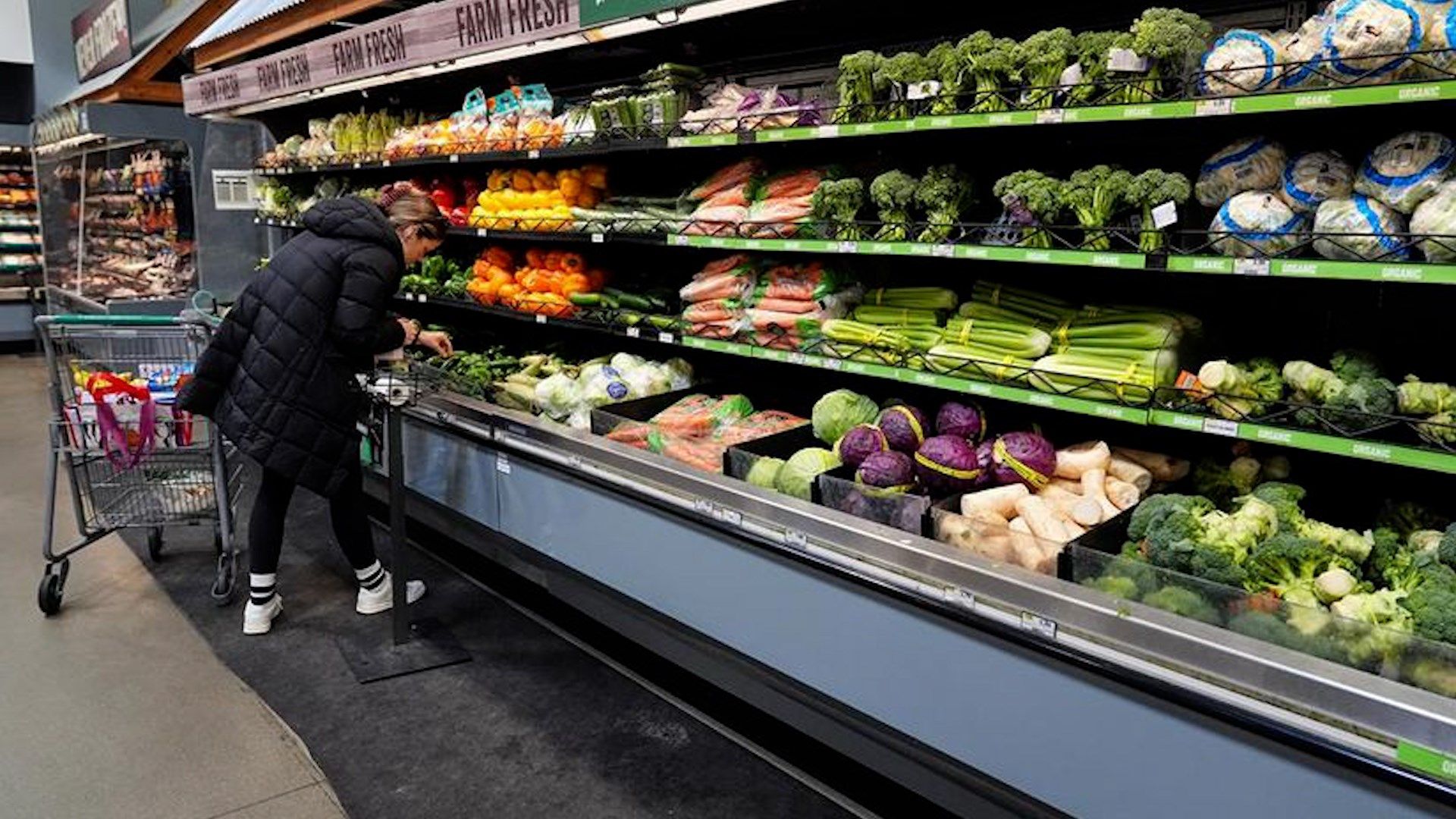 Los estados se apresuran a enviar la totalidad de los beneficios del programa SNAP a millones de personas tras el fin del cierre del gobierno